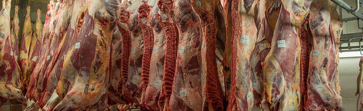 Notre propre abattoir