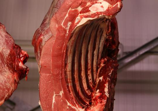 Belgisch Witblauw - Rundvlees - Grootverkoop